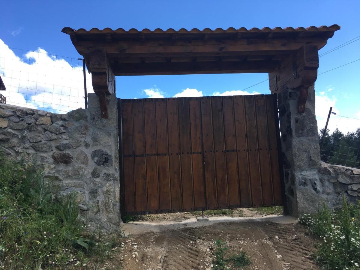 Cara Norte De Gredos *