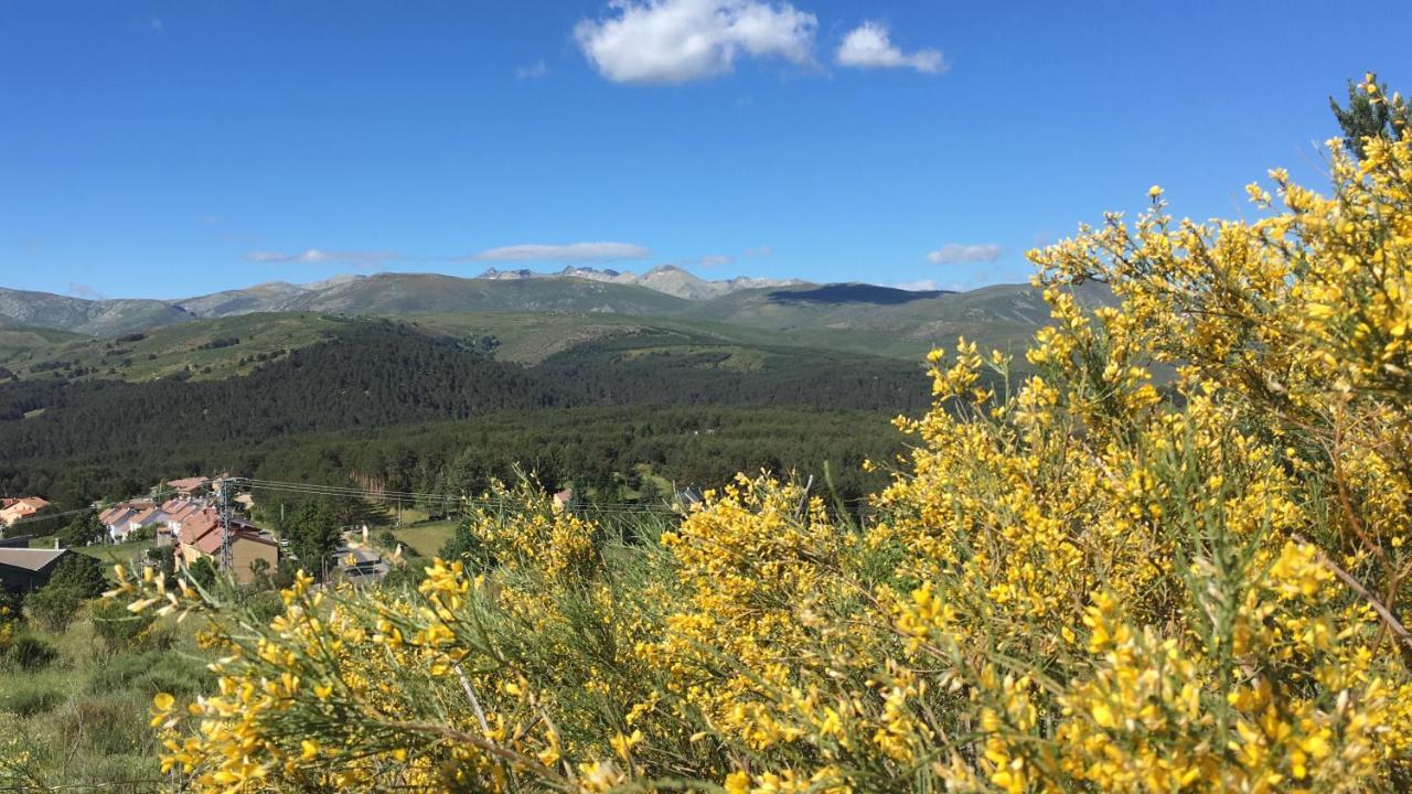 Domek alpejski Cara Norte De Gredos